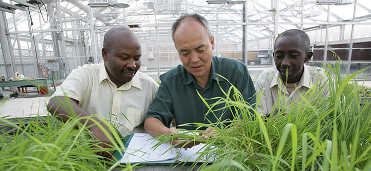 sustainable crop production in the lab