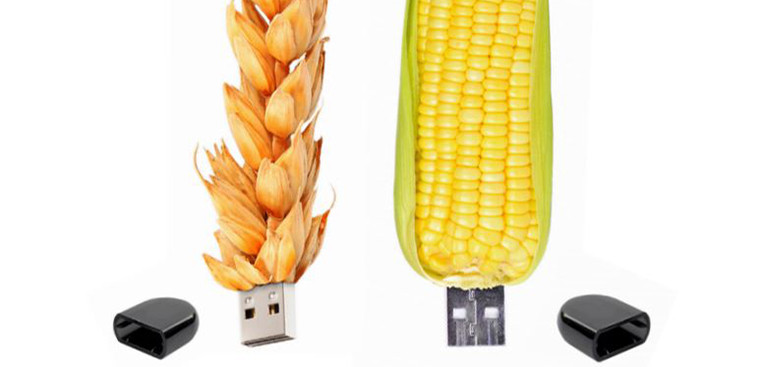 Wheat and corn USB thumb sticks